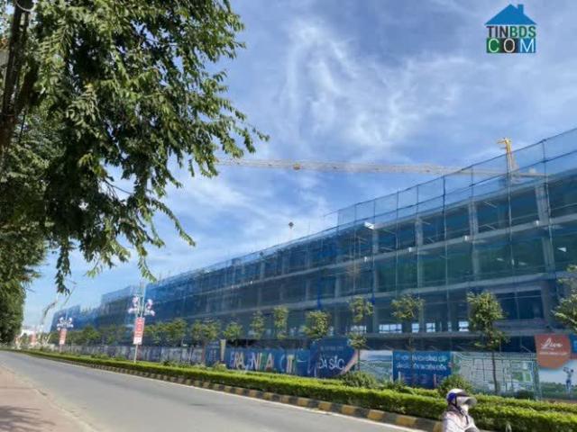 Biệt Thự bán
