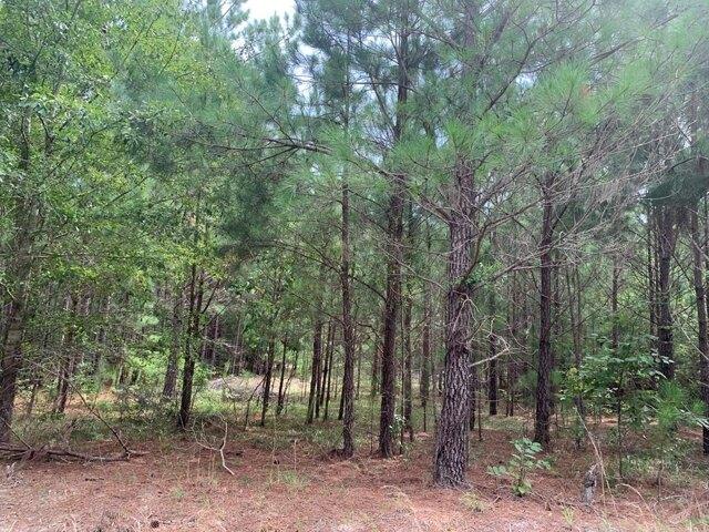 House for sale in Rembert, South Carolina