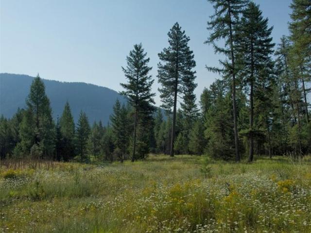 Land for sale in Troy