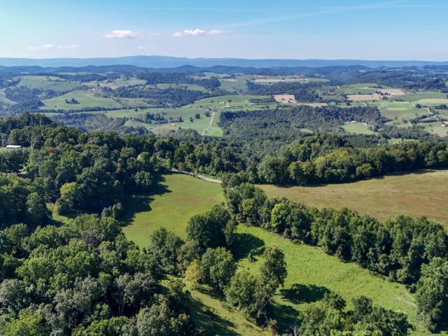 Land for sale in Nickelsville, Scott County