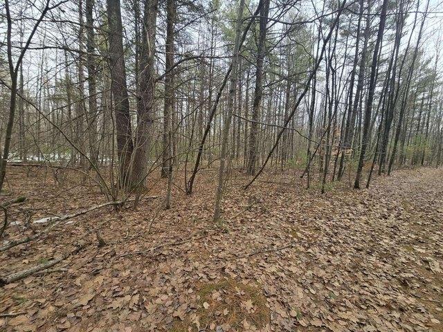 Land for sale in Wausaukee, Wisconsin