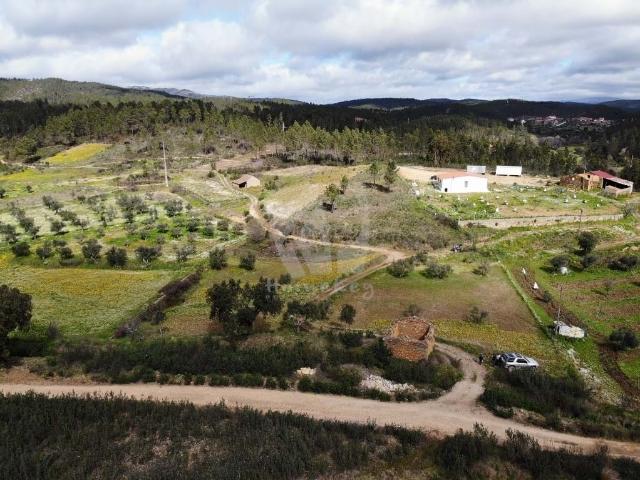 Quinta venda em Castelo Branco