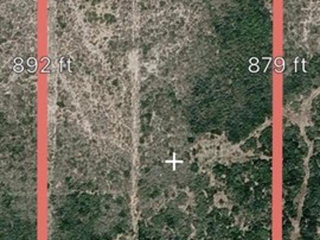 Land for sale in George West, Texas