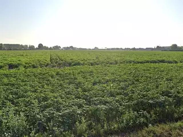 Terrain vente à Douai, Râches