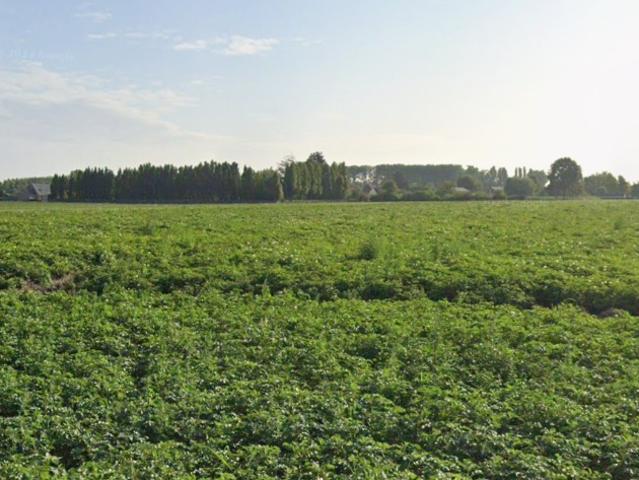 Terrain vente à Douai, Râches
