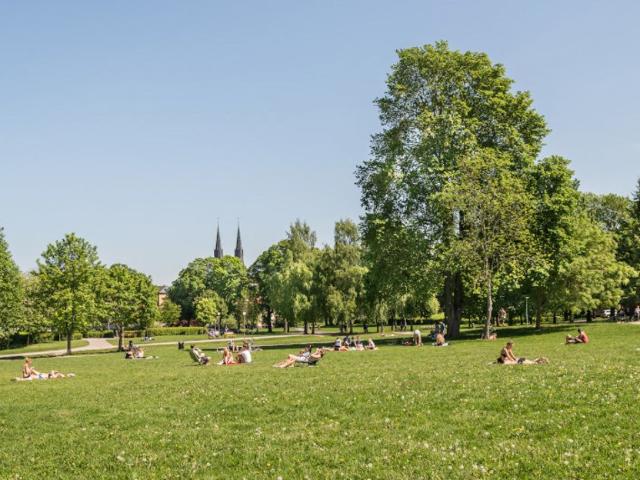 Lägenhet hyra i Uppsala