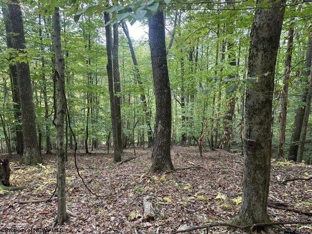 Land for sale in Elkins, West Virginia
