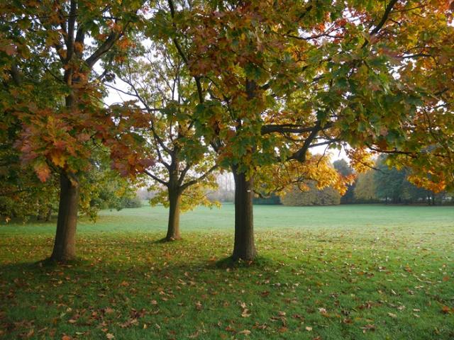 Rum hyra i Löddeköpinge, Skåne
