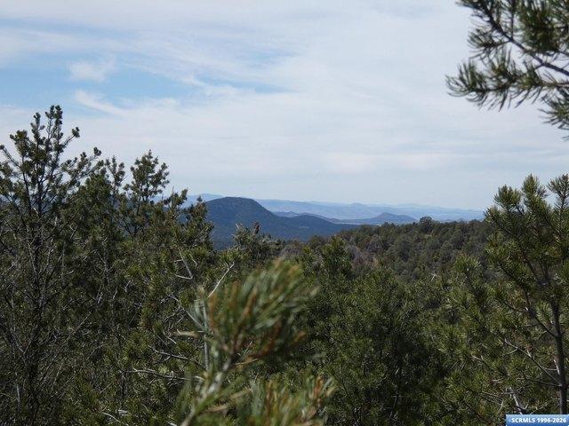 Farm for sale in Pinos Altos, New Mexico