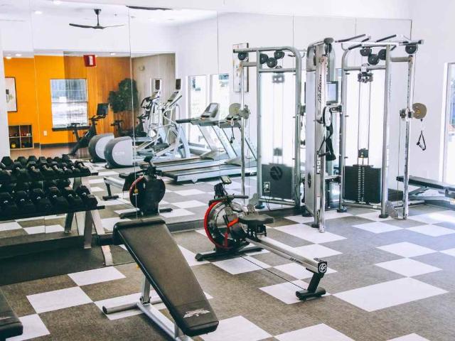 Apartment for rent in Austin, Texas