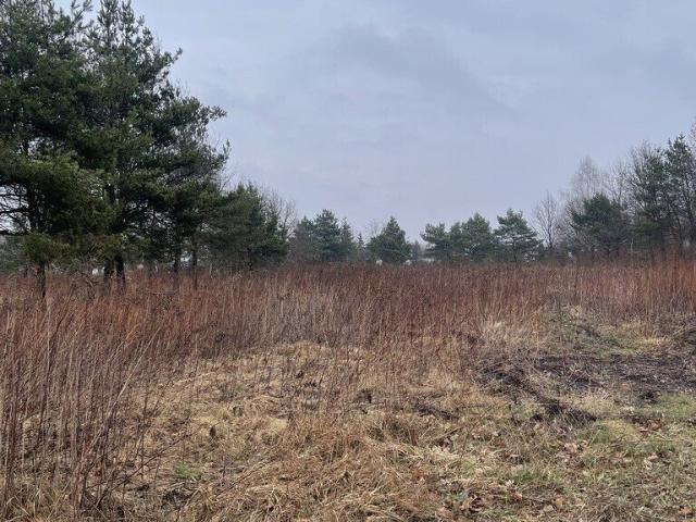 Grunt na sprzedaż w Radzymin, Mazowieckie