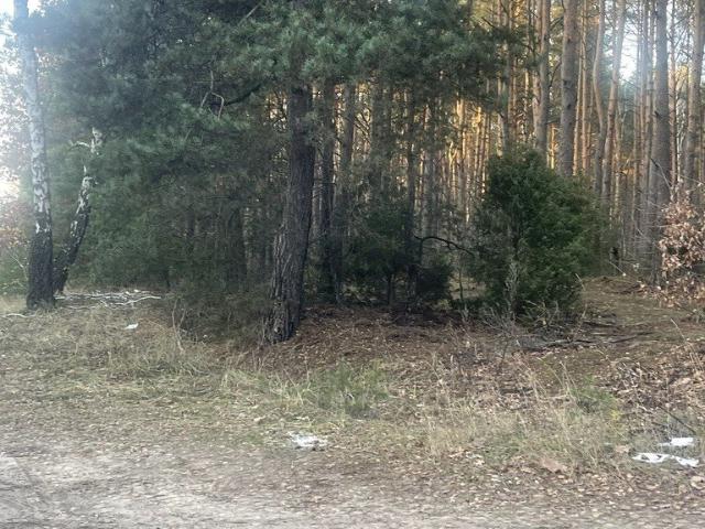 Grunt na sprzedaż w Radzymin, Mazowieckie