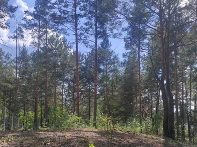 Grunt na sprzedaż w Radzymin, Mazowieckie