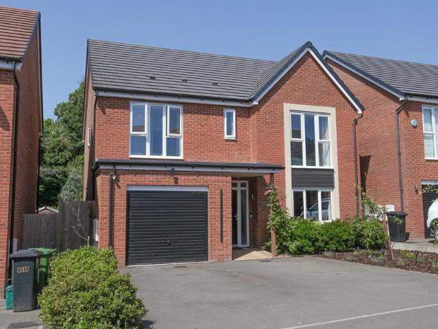 House for rent in Kingsgrove, Dromore