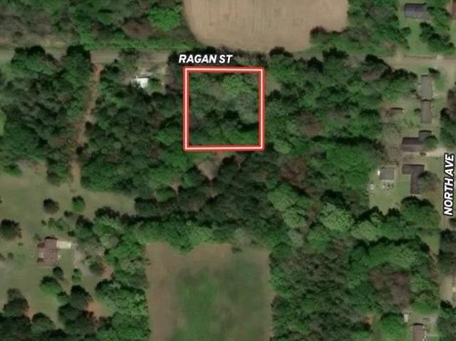 Land for sale in Pelahatchie, Rankin County
