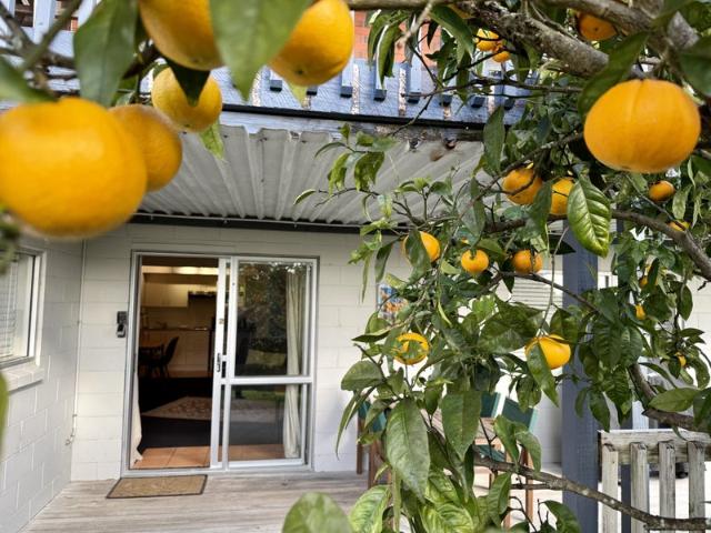 Apartment for rent in Waikato