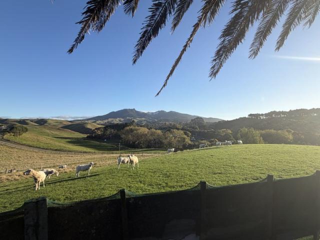 House for rent in Raglan, Waikato