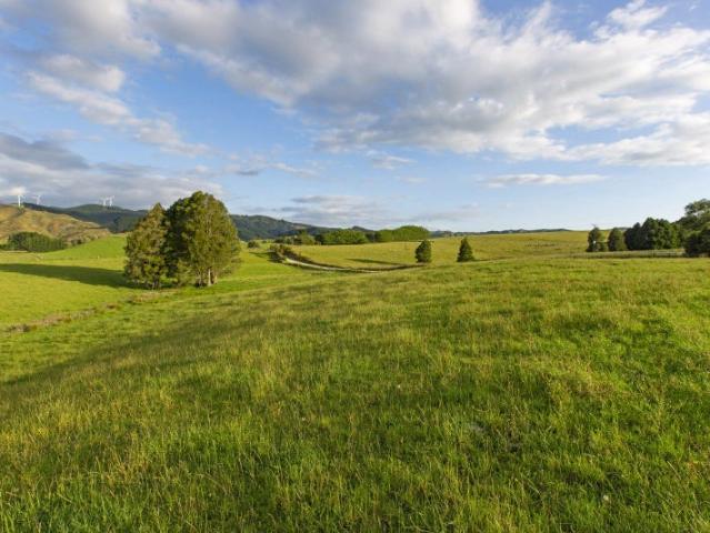 Land for sale in Waikato