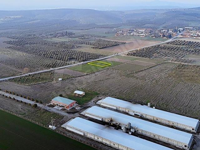Rahmiye, Akhisar içerisinde satılık Arsa