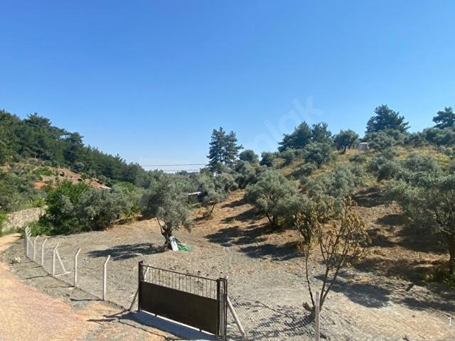 Kemalpaşa, İzmir içerisinde satılık mülk