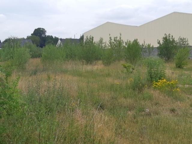 Terrain vente à Cambrai, Raillencourt-sainte-olle