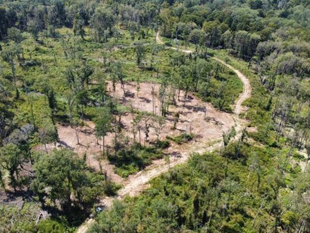 Land for sale in Georgetown, Mississippi