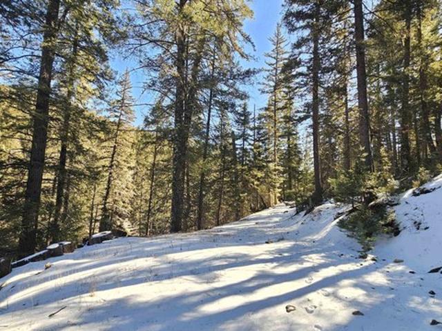 Land for sale in Cloudcroft, New Mexico