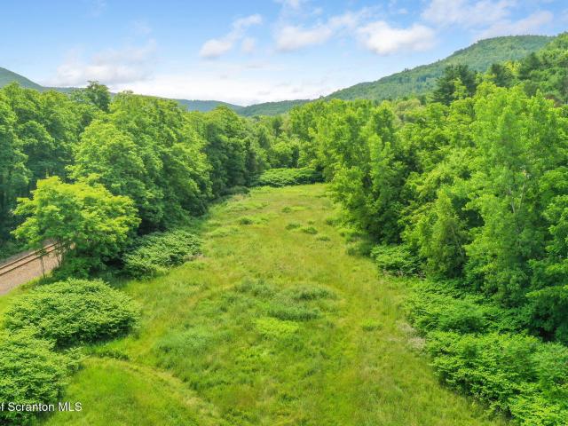 Land for sale in Hallstead, Pennsylvania