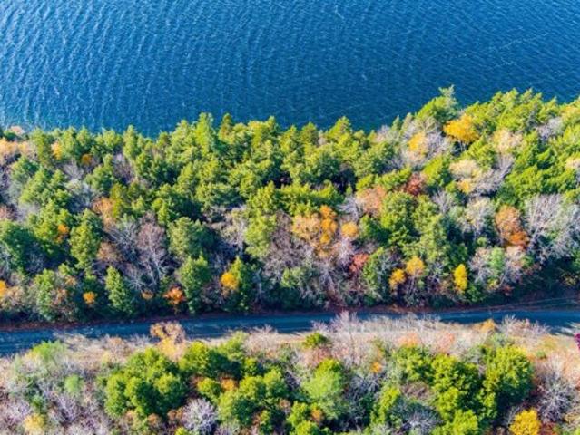 Land for sale in Maine