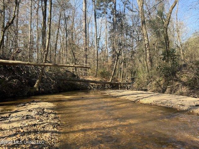 Land for sale in Mississippi