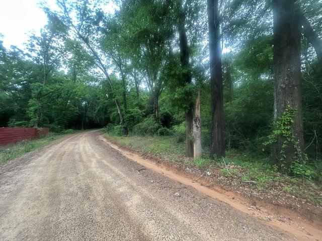 Land for sale in Cowarts, Alabama