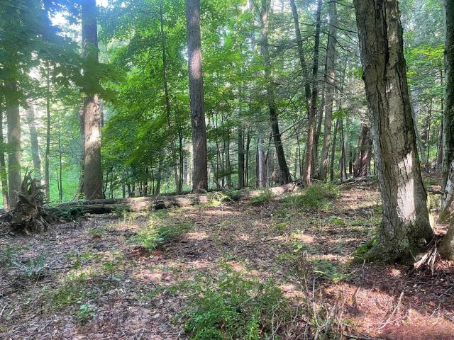Property for sale in Cornwall, Connecticut