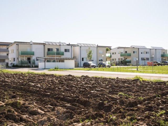 Haus mieten in Weiden am See, Burgenland