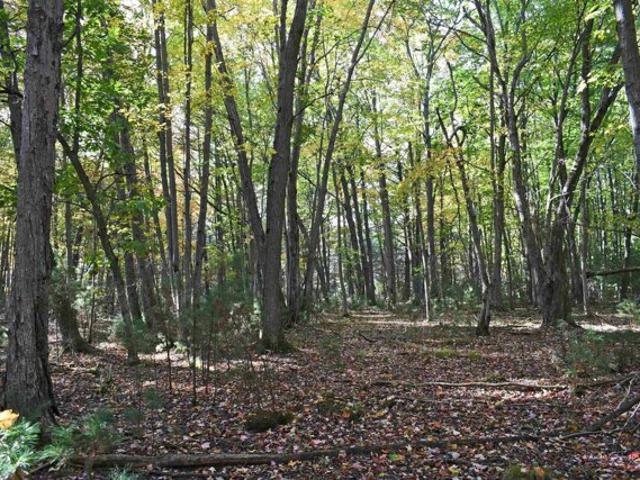 Land for sale in East Tawas