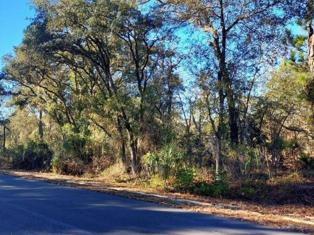 Land for sale in Florida