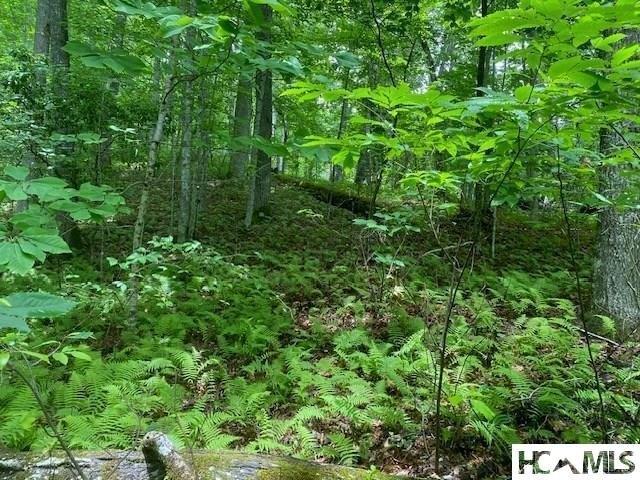 Land for sale in Tuckasegee, North Carolina