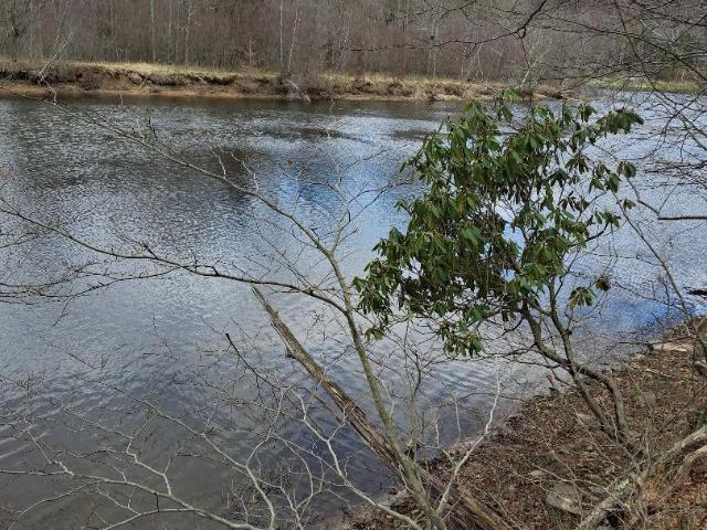 Land for sale in Greene Township, Pike County