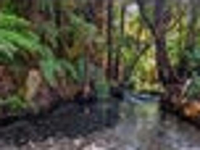 House for sale in Bay Of Plenty