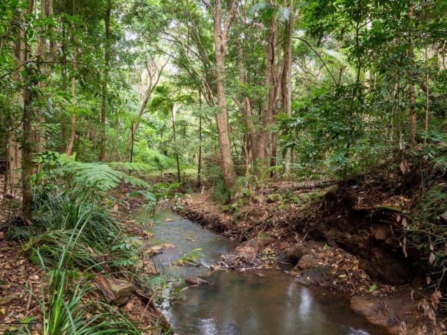 Land for sale in Kings Creek, Queensland