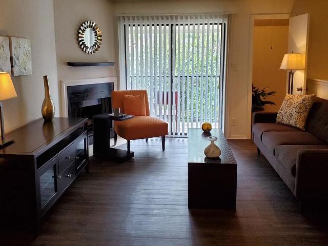 Apartment for rent in Lexington