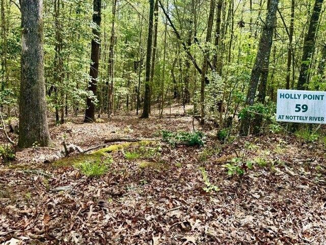Land for sale in Murphy