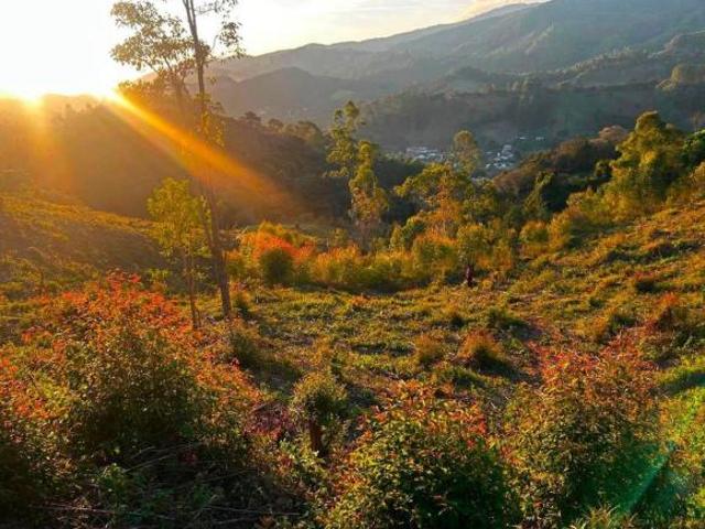 Terreno venda em Delfim Moreira