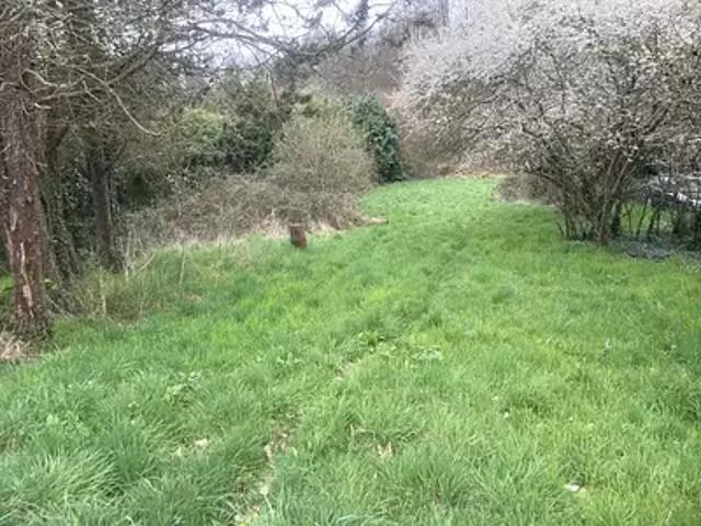 Terrain vente à Rambouillet, Raizeux