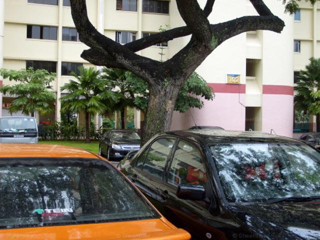 Detached House for rent in Novena