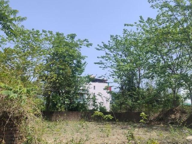 Land for sale in Kedarpur, Uttarakhand
