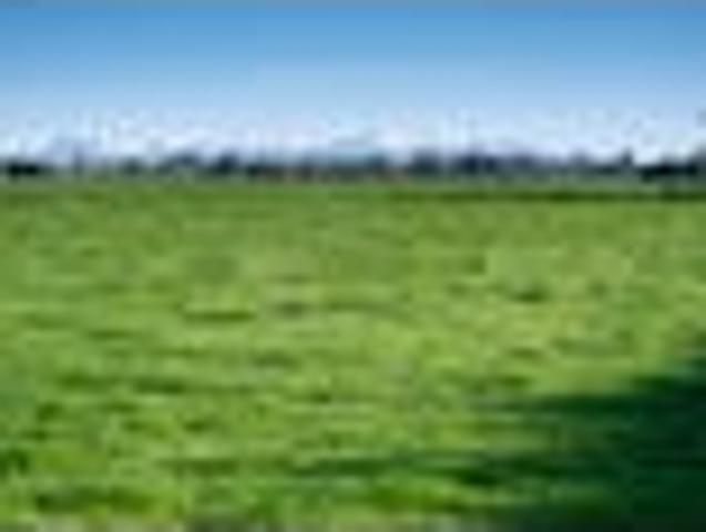 Land for sale in Dorie, Canterbury