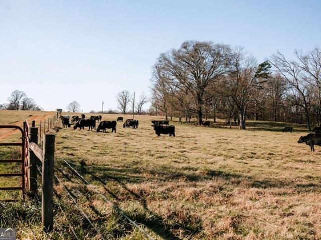 Land for sale in Carlton, Georgia