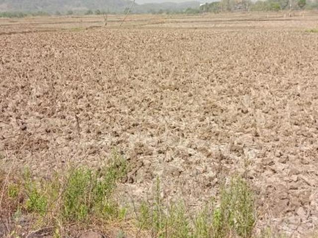 Land for sale in Pen, National Capital Territory Of Delhi