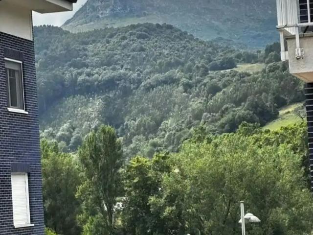 Apartamento en alquiler en Gibaja, Ramales De La Victoria