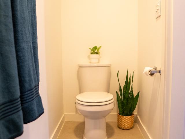 Apartment for rent in Seattle, Washington